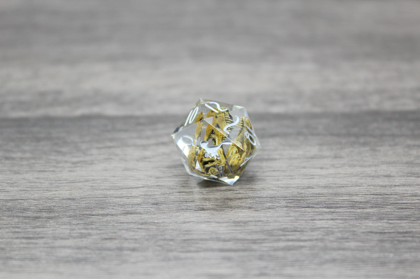 Trex Skull 20mm D20