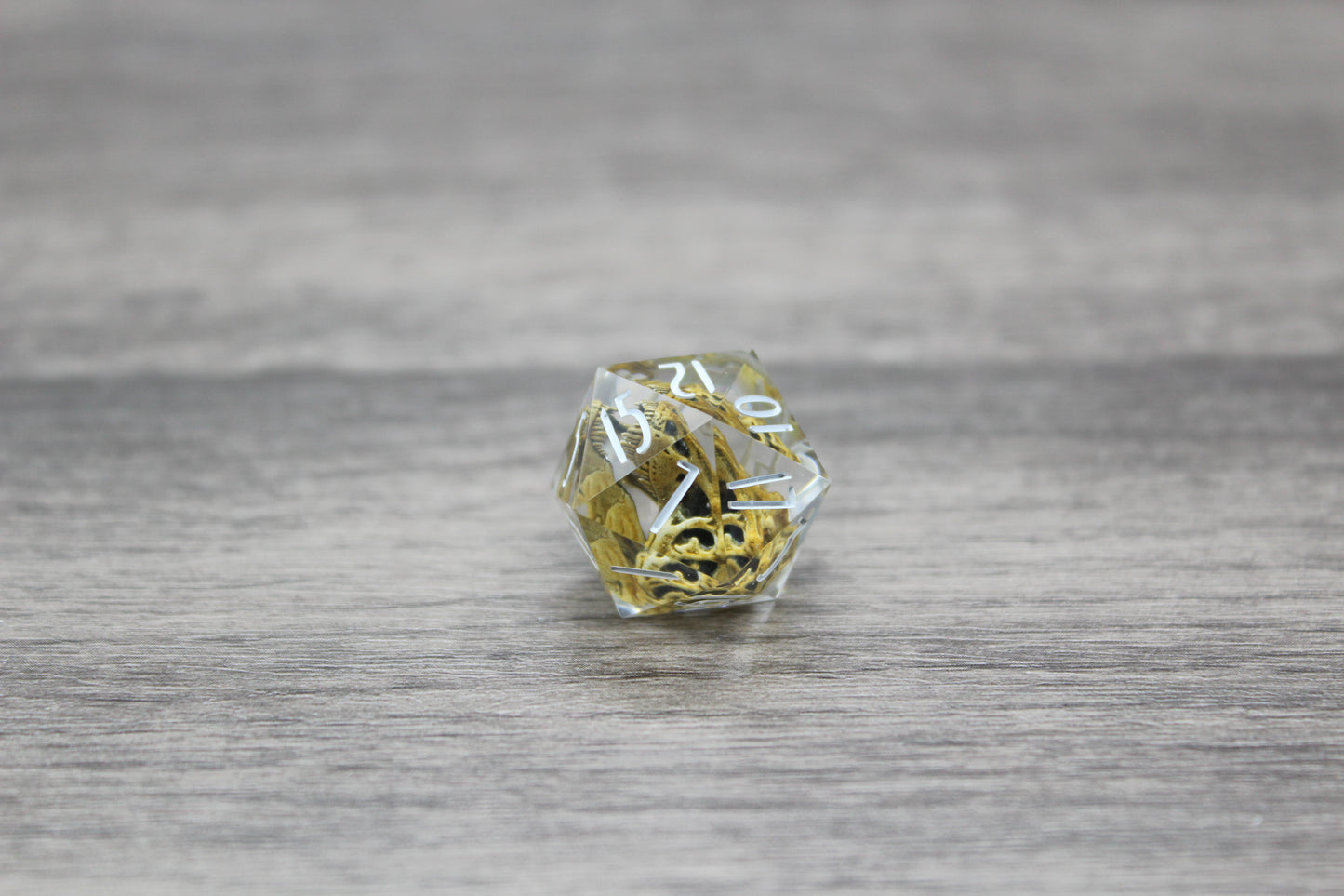 Trex Skull 20mm D20
