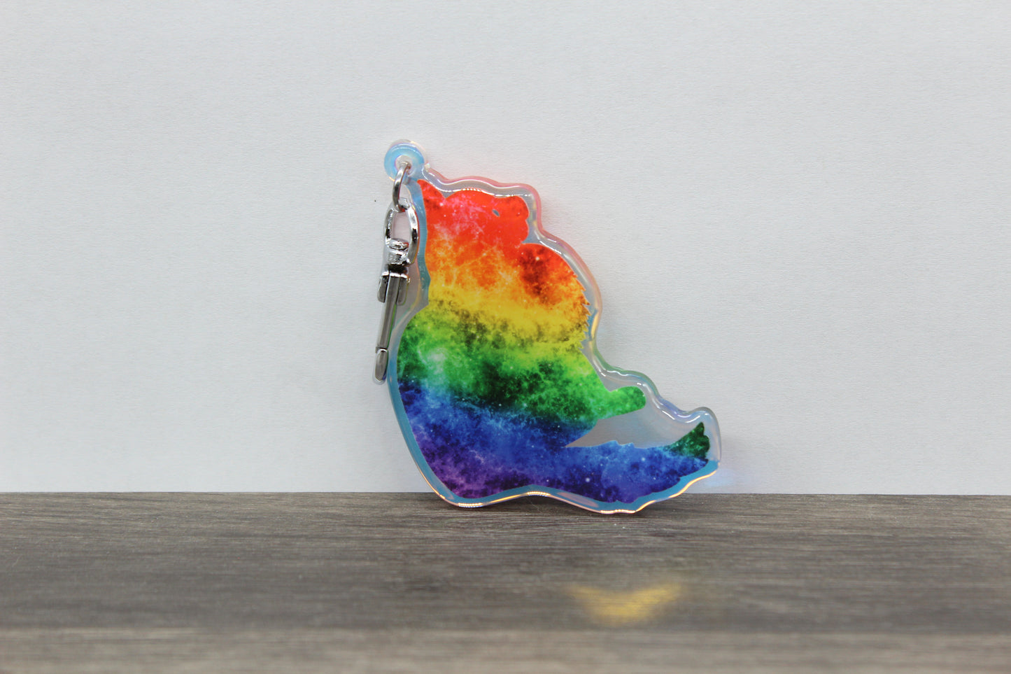 Rainbow Bridge Cat Keychain