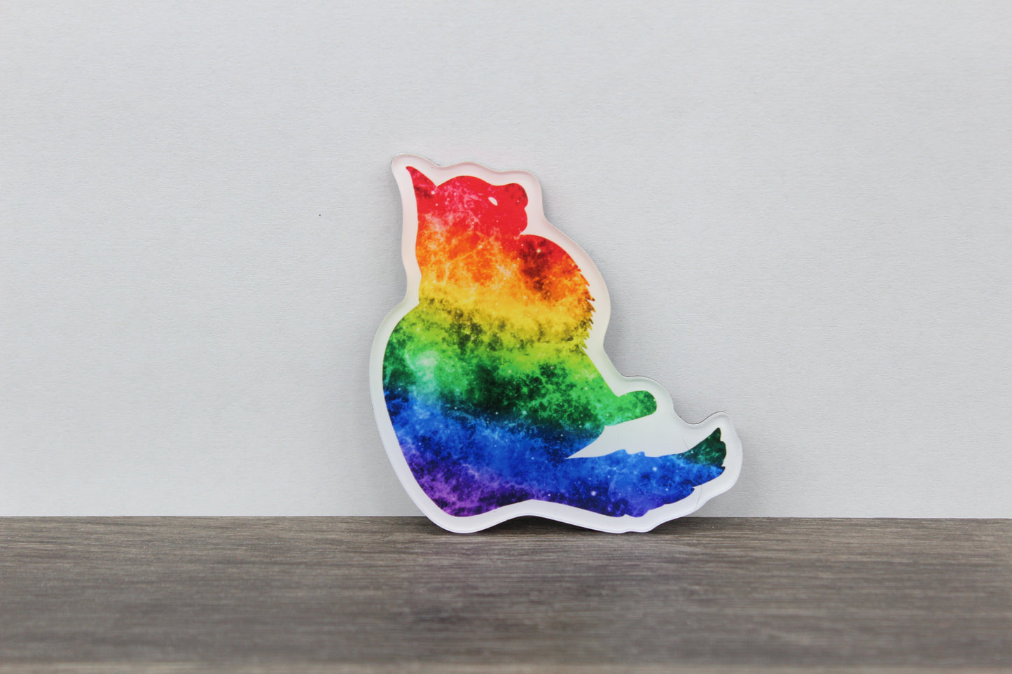 Rainbow Bridge Cat Magnet