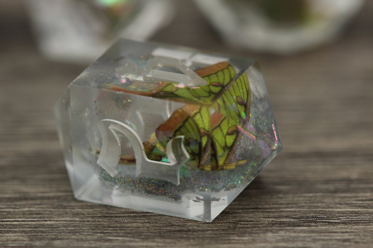 Raw Hybrid Luna Moth Dice Set