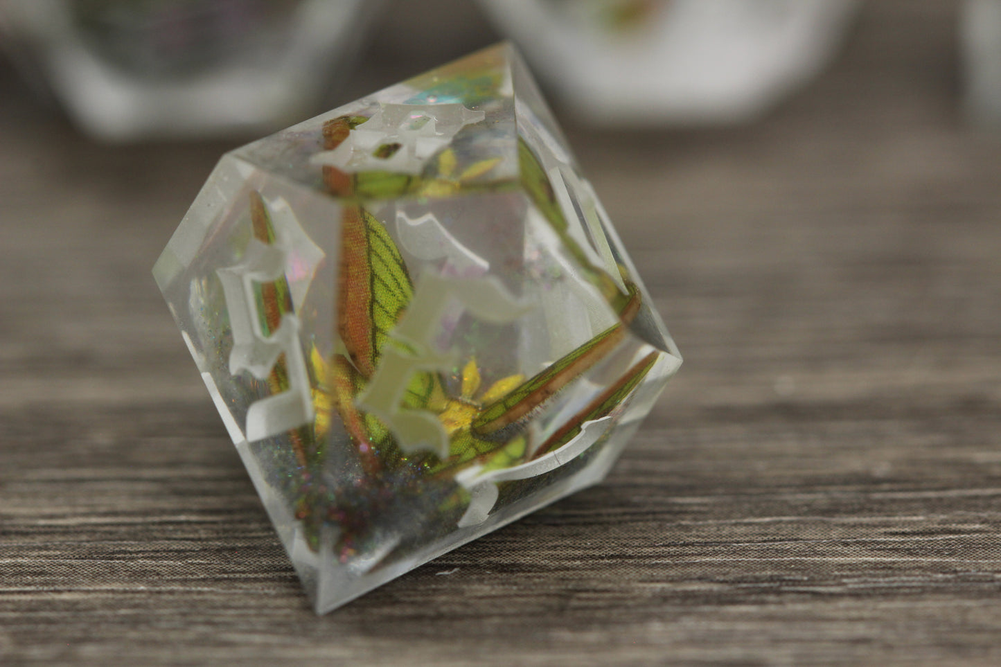 Raw Hybrid Luna Moth Dice Set