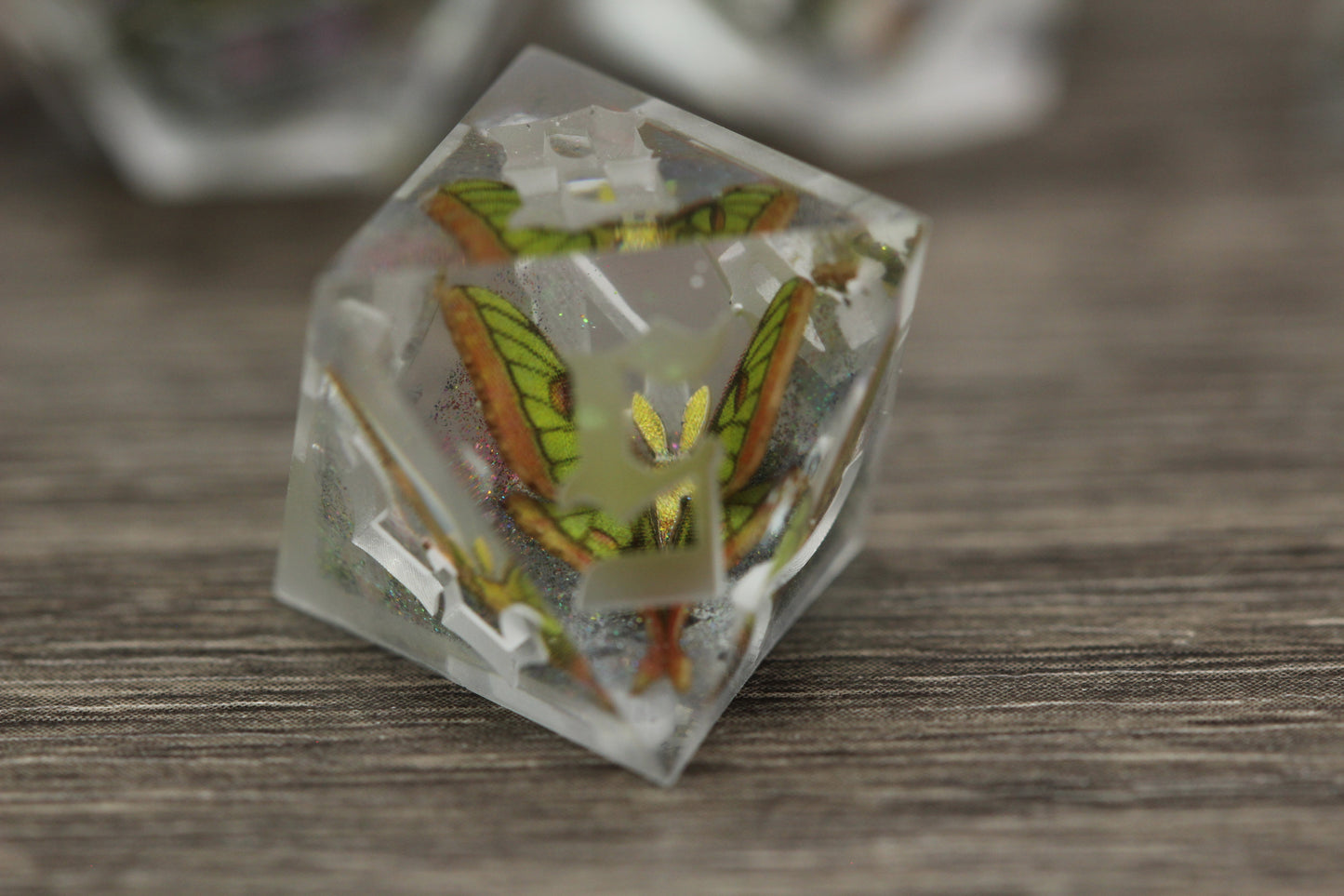 Raw Hybrid Luna Moth Dice Set