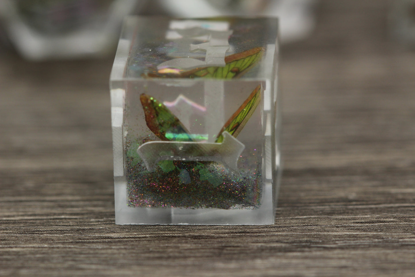 Raw Hybrid Luna Moth Dice Set