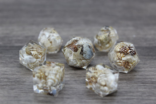 Raw Sea Shell Dice Set