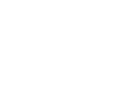 Pixel Raptor Designs